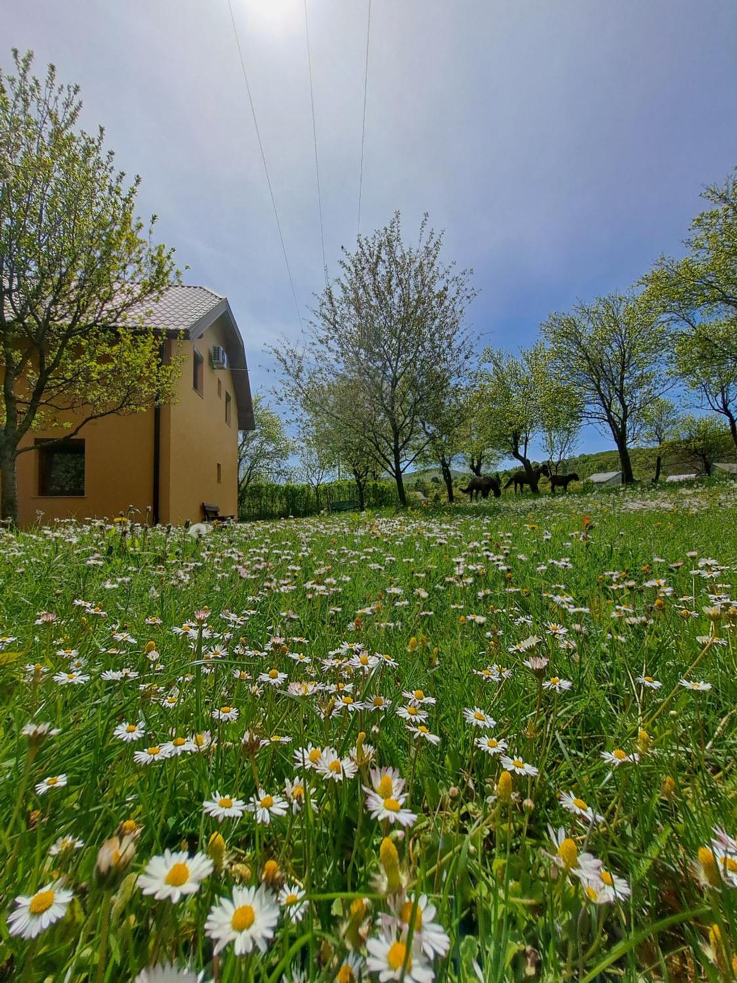 St George Gasthof